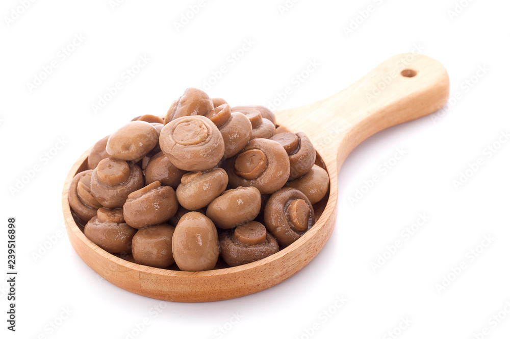 Button mushrooms isolated on a white background Button mushrooms isolated on a white background