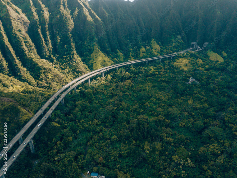 Fototapeta premium a street in Oahu, Hawaii in the middle of Nature