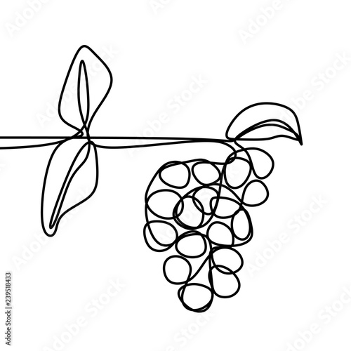 Grape one line drawing vector of fruit isolated on white background