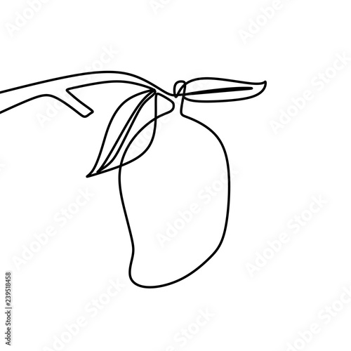 mango one line drawing vector illustration. Continuous lineart hand drawn isolated on white background.