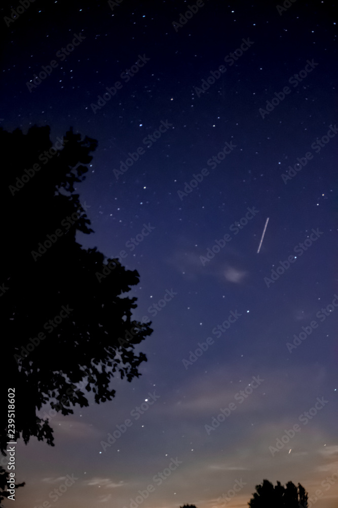 Cielo Stellato Cielo Stellato