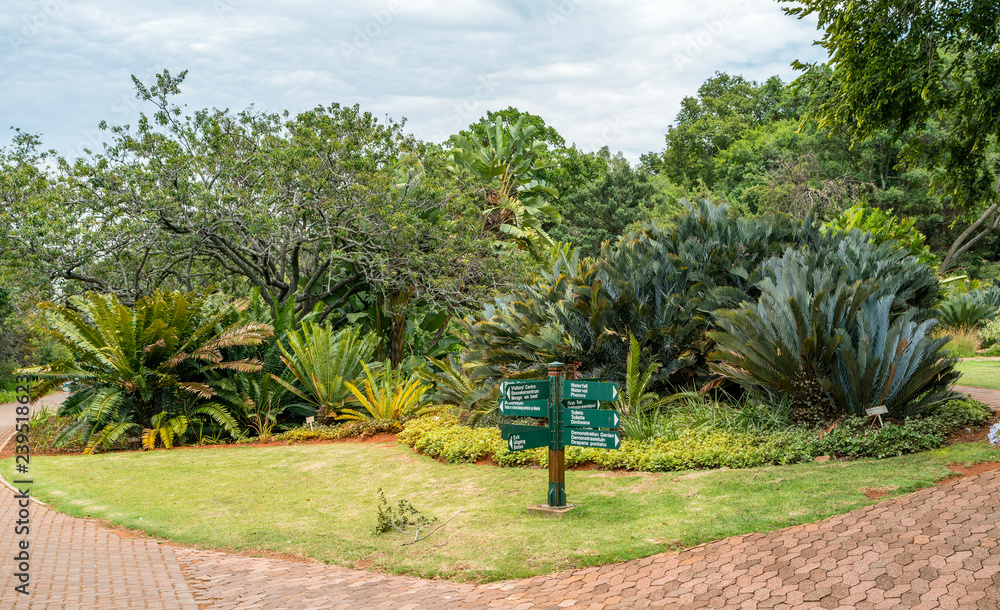 National Botanical Gardens Pretoria Fasci Garden