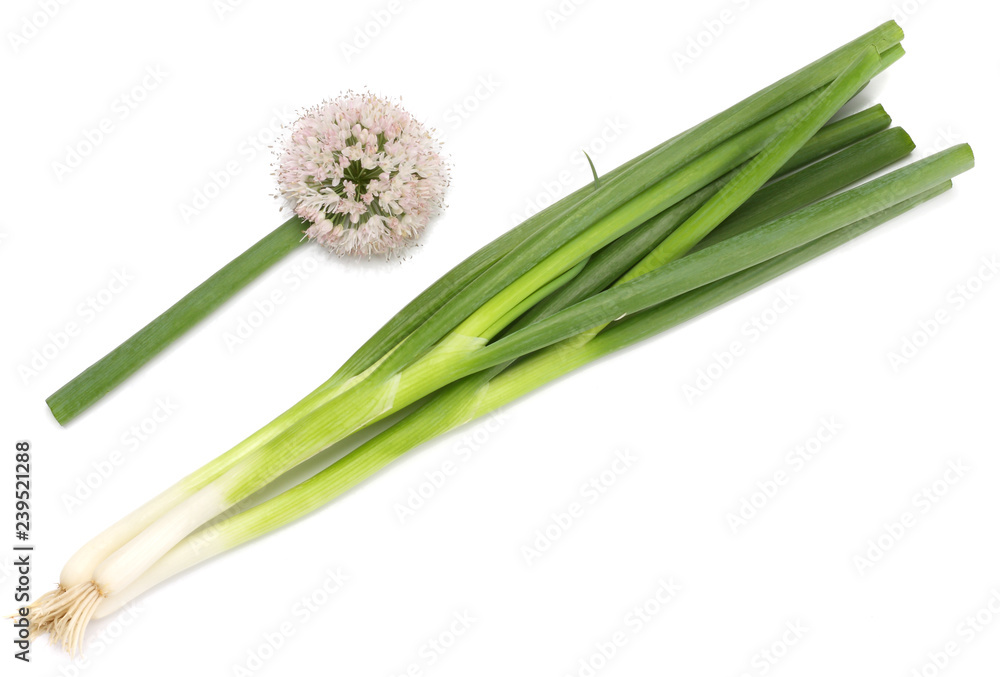 Fototapeta premium Green onion isolated on white, top view