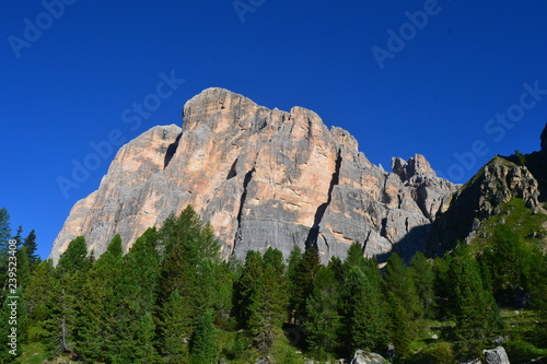 Tofana di Roses
