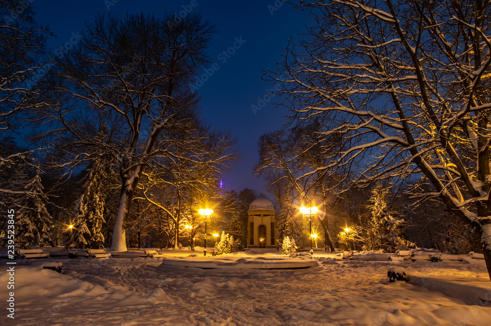 Snowbound city street at night Snowbound city street at night