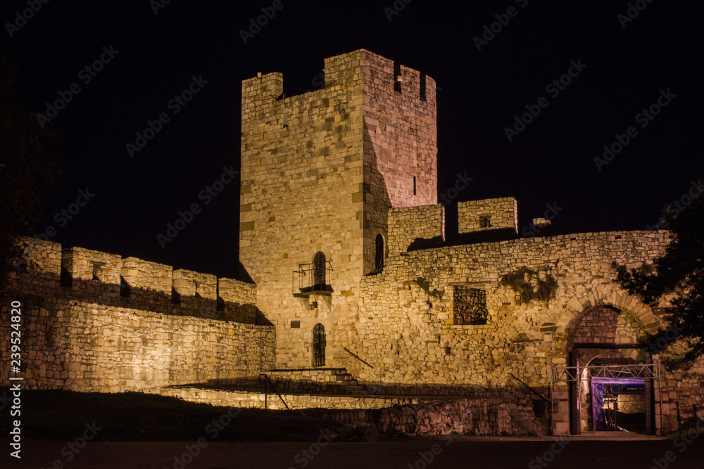 Ancient tower in the Belgrade Fortress at night. Serbia