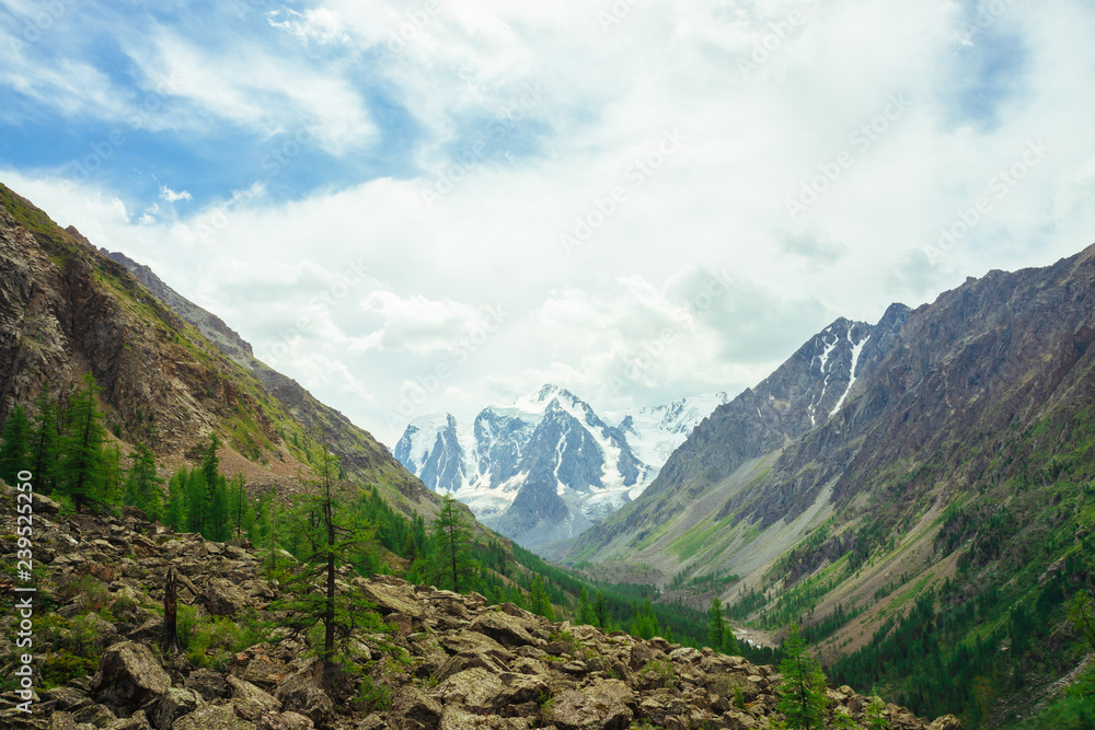 Naklejka premium View on wonderful glacier behind giant mountains. Snowy mountain range. Huge amazing rocky mountain with snow on top. Coniferous trees on stones. Atmospheric landscape of majestic nature of highlands.