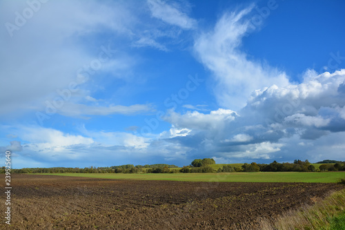 Landscape with view of non urban, countryside, green field, trees and blue sky with white clouds. Autumn landscape on a sunny clear day. photo