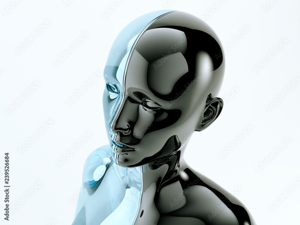 Glass human head separated by line as symbol of balance and diversity Glass human head separated by line as symbol of balance and diversity