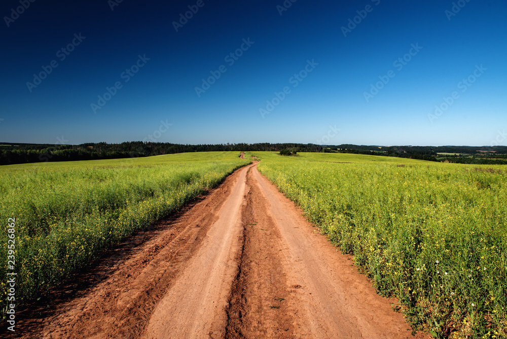 Dirt road and landscape countryside. Dirt road and landscape countryside.