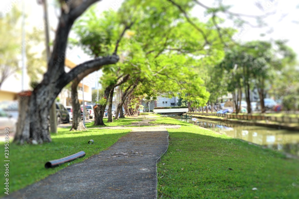 Obraz premium Walkway in the park