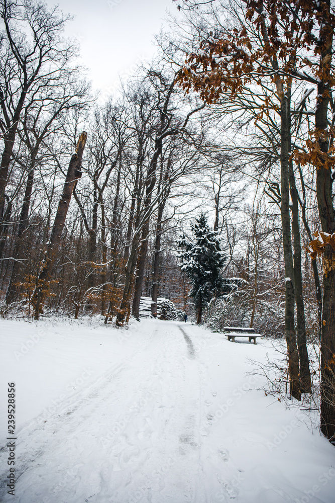 Winter time Winter time