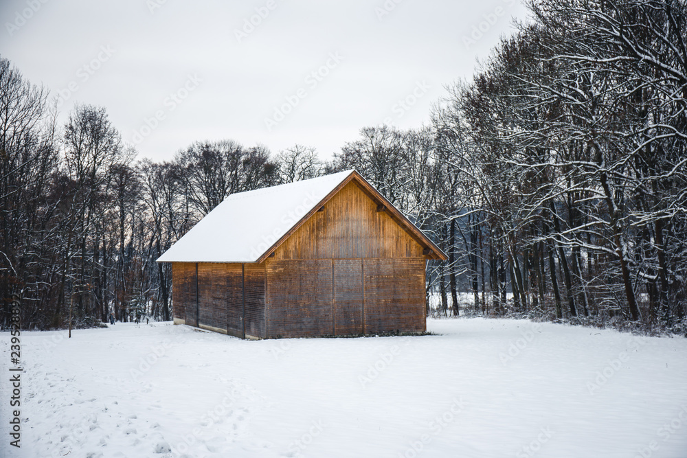 Winter time Winter time
