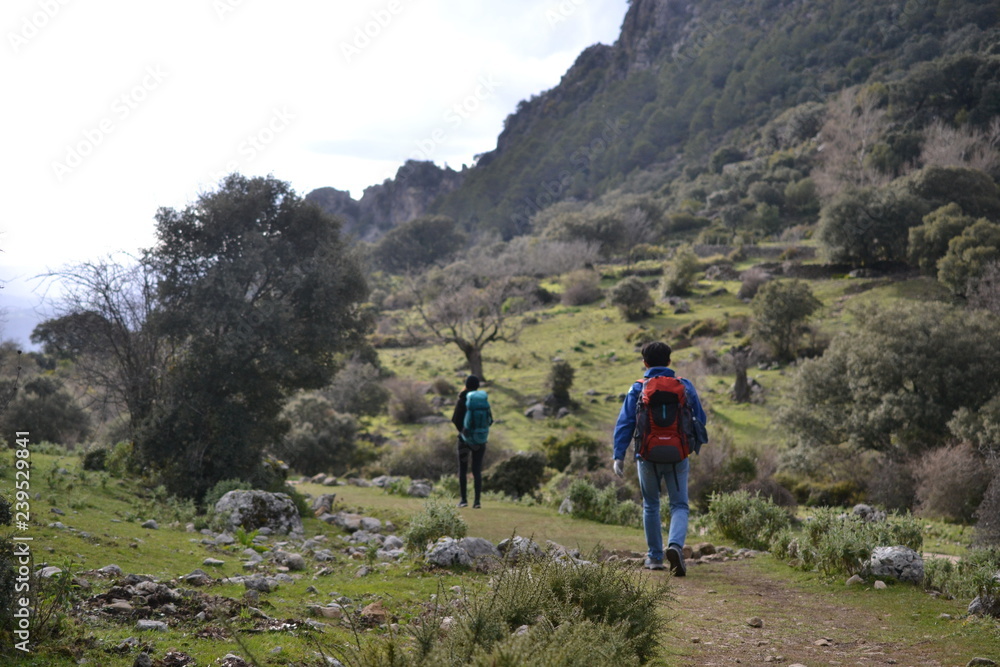 Hiking in Sierra de Grazalema Natural Park, province of Cadiz, Andalusia, Spain, towards Benamahoma