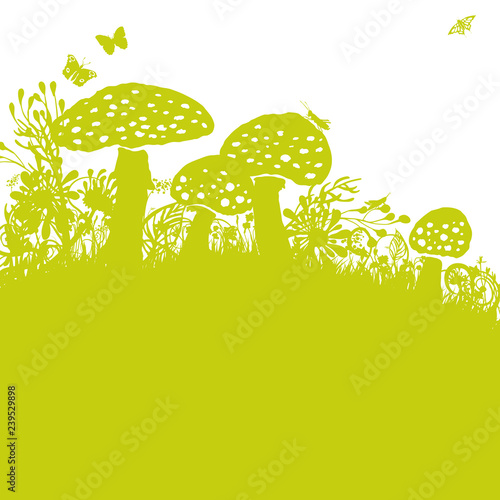 Fliegenpilze im Gras