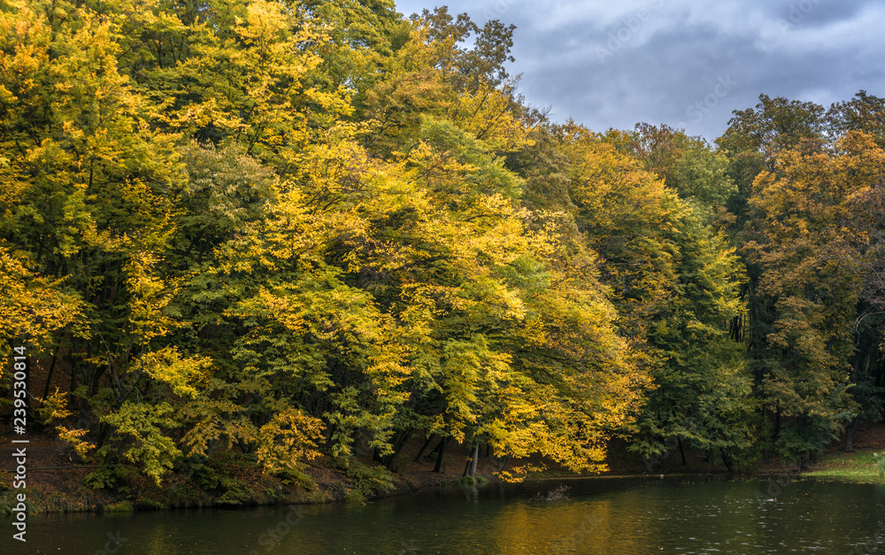 at a lake. beautiful nature. autumn colors. relaxation. at a lake. beautiful nature. autumn colors. relaxation.