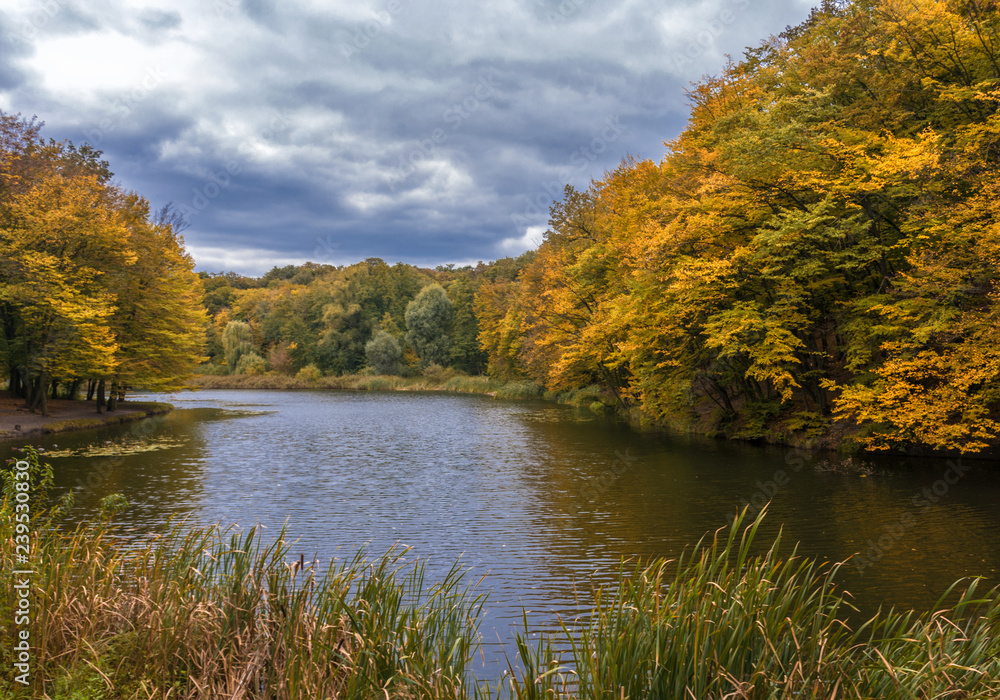 at a lake. beautiful nature. autumn colors. relaxation. at a lake. beautiful nature. autumn colors. relaxation.