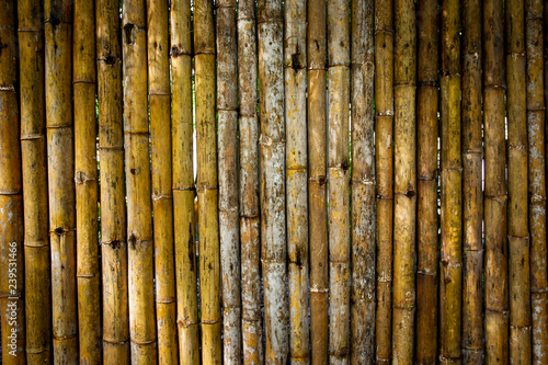 Ancient bamboo fence texture background close up.