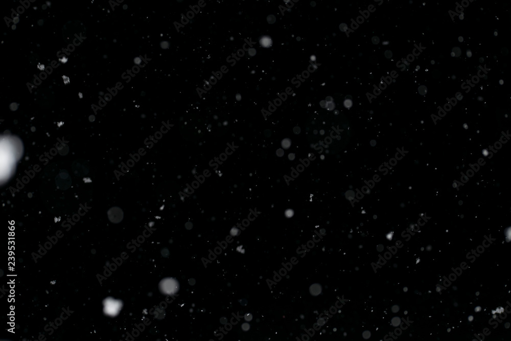 snowflakes on black background
