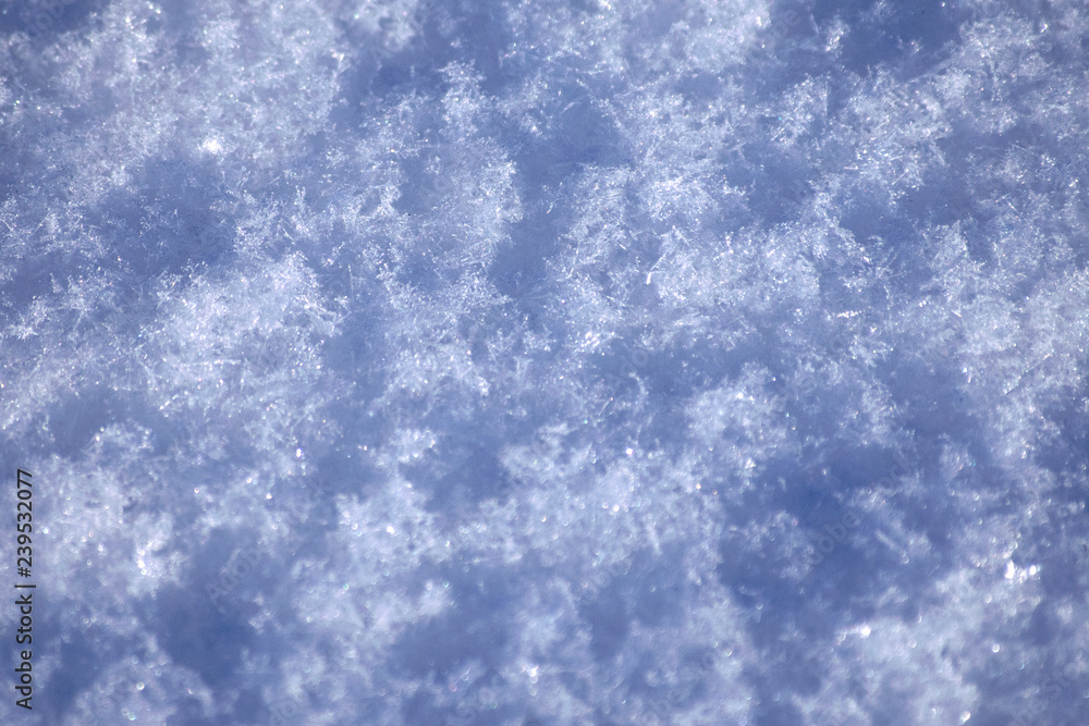 Obraz premium fresh snow texture