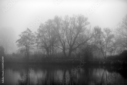 Black and white photo of trees by the river in the fog.