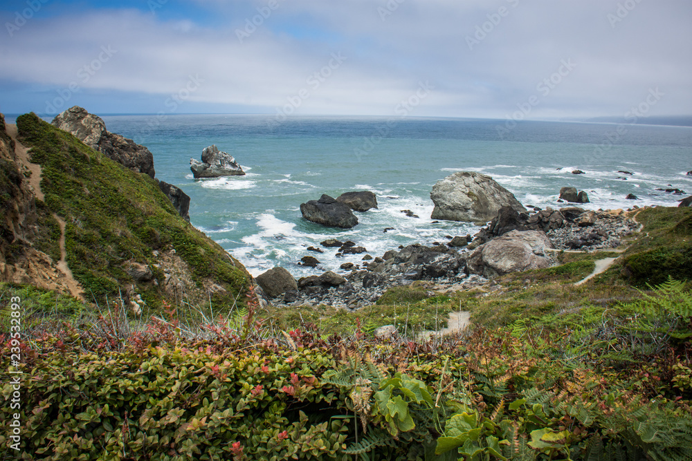View of the Pacific Ocean at Patrick's Point State Park near Trinidad, California