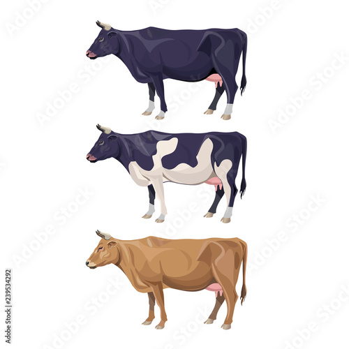 Different cows colors set