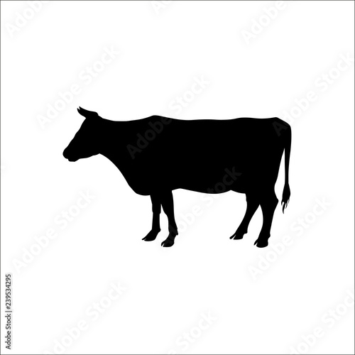 Silhouette of a standing cow