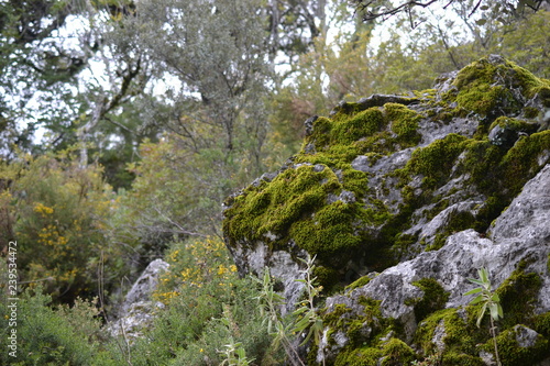 Hiking in Sierra de Grazalema Natural Park, province of Cadiz, Andalusia, Spain, towards Benamahoma