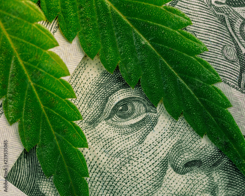 Increase revenue and profits in the field of growing medical cannabis. Leaf of marijuana in cash hundred dollar bills.