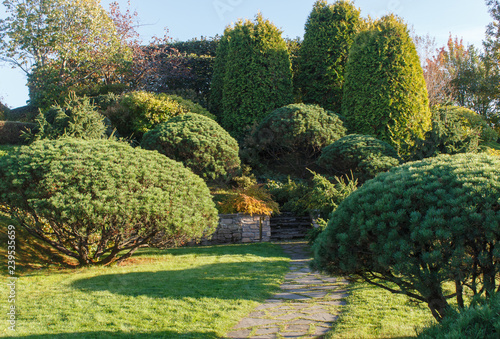 Cottage garden with green lawn, trees and trimmed bushes.