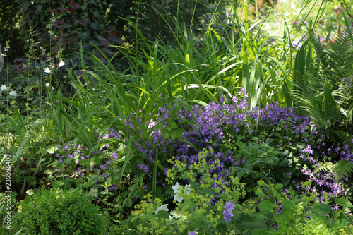 Blüten im Schattengarten