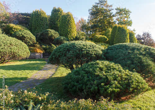 Cottage garden with green lawn, trees and trimmed bushes.
