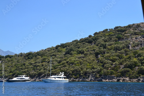 tropical island in the sea