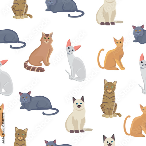 Vector cat seamless pattern. Cute kitten in cartoon style