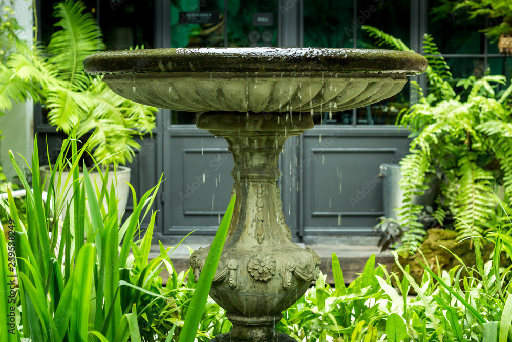 Fototapeta premium Small decorative fountain In the garden