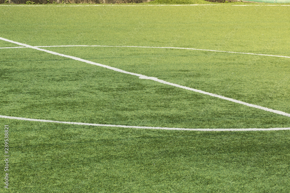 Obraz premium The grass on the soccer field