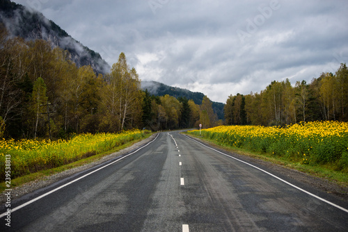 The road in the mountains of Altai