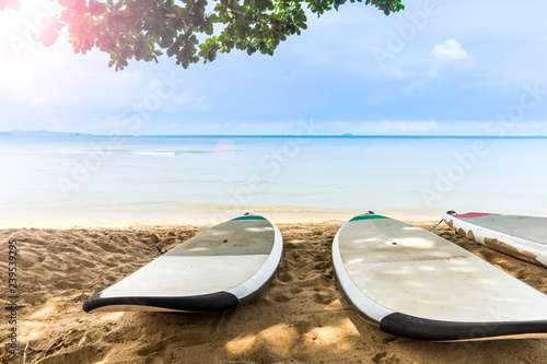 Fototapeta Naklejka Na Ścianę i Meble -  Surfboard on the Beach