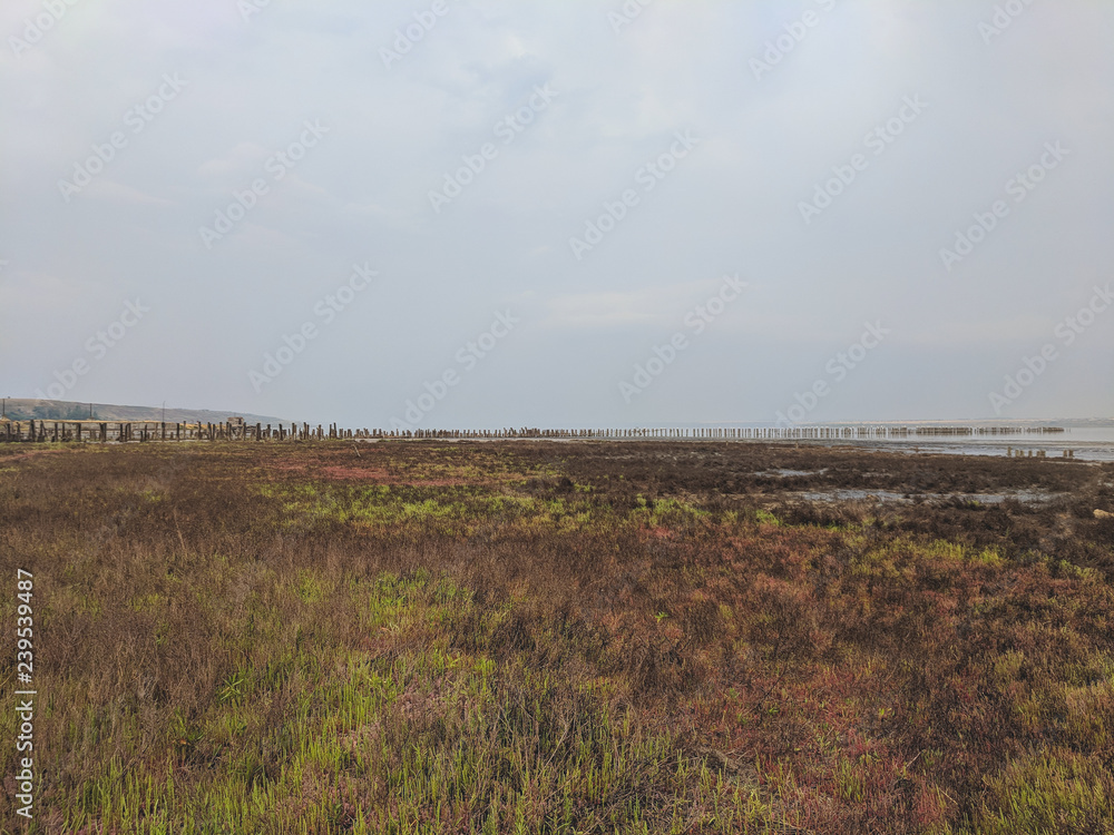 Kuyalnik estuary landscape	