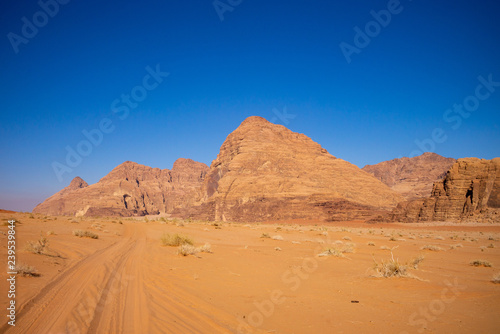 Desert landscape