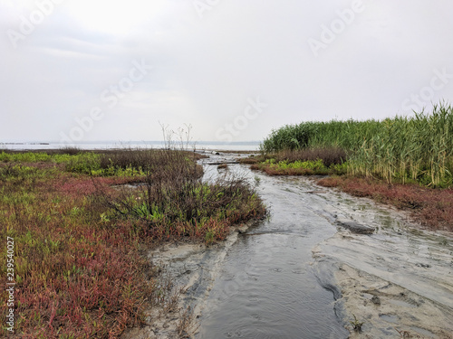Kuyalnik estuary landscape