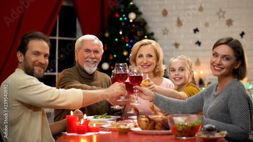Big friendly family clinking glasses with wine on Xmas eve  looking into camera