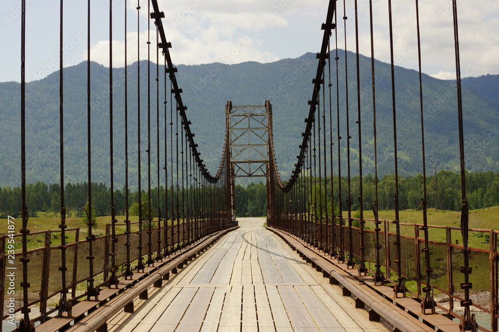 Fototapeta premium bridge over river Katun'