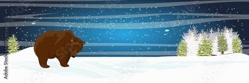 Brown bear is walking in the meadow. Spruce forest. Starlight Night. Wild animals of Eurasia and America. Realistic Vector Landscape