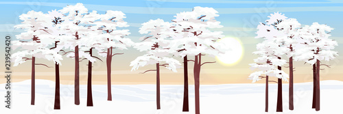 Forest in the snow. Pines and glade in the snow in front of them. Realistic Vector Landscape