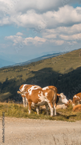 Smartphone HD wallpaper of beautiful alpine view at Zell am See - Zeller See - Salzburg - Austria © Martin Erdniss