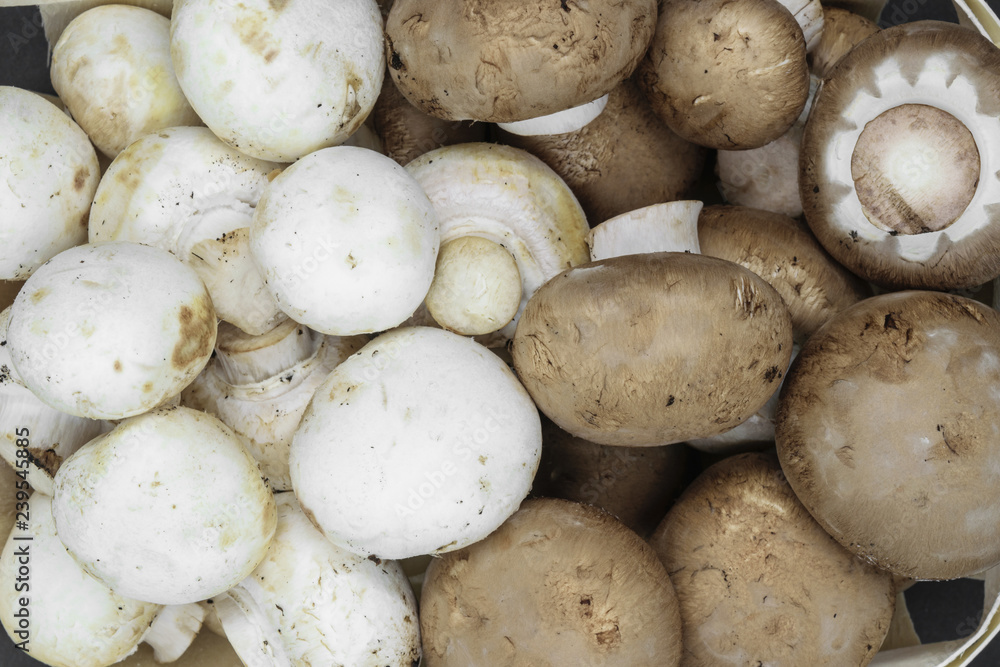 Background surface top view of brown and white champignons mushrooms Background surface top view of brown and white champignons mushrooms