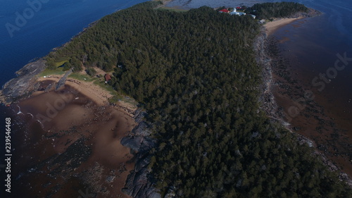 aerial view of an island in the sea