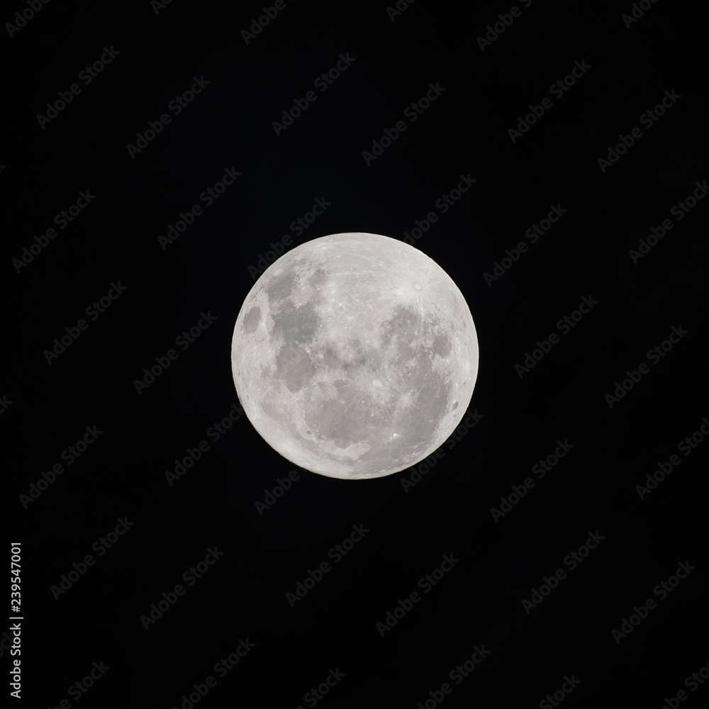 Obraz premium full moon in the sky